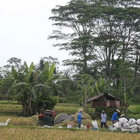 Pondok Gepokan Homestay Ubud Extérieur photo