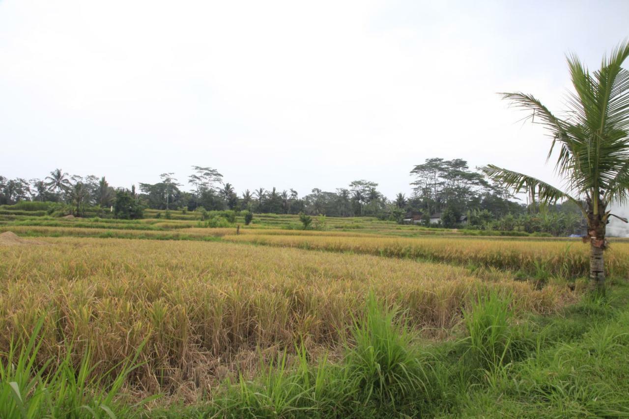 Pondok Gepokan Homestay Ubud Extérieur photo