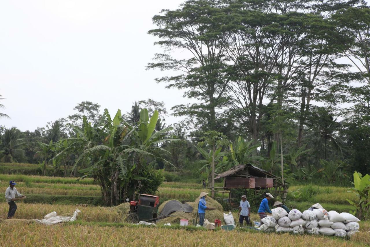 Pondok Gepokan Homestay Ubud Extérieur photo