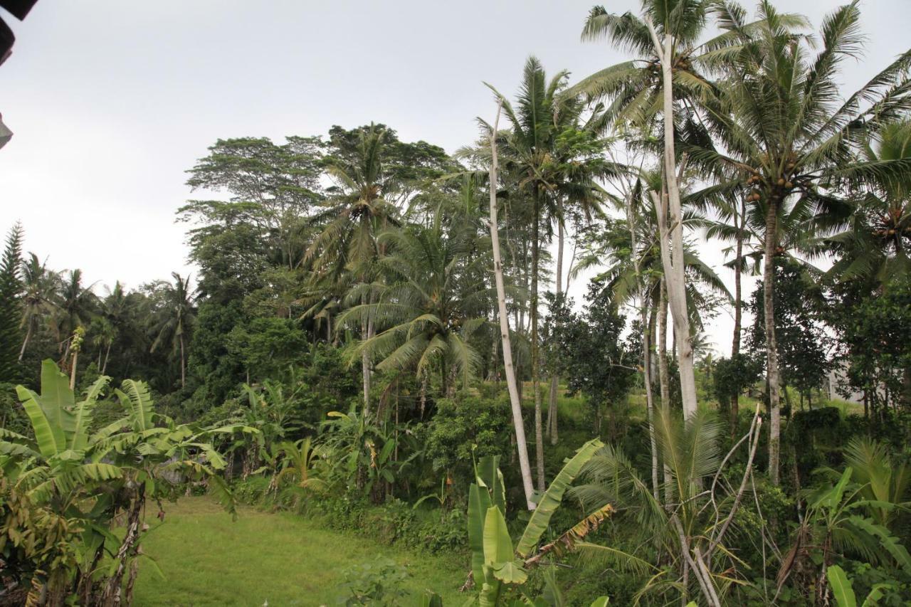 Pondok Gepokan Homestay Ubud Extérieur photo
